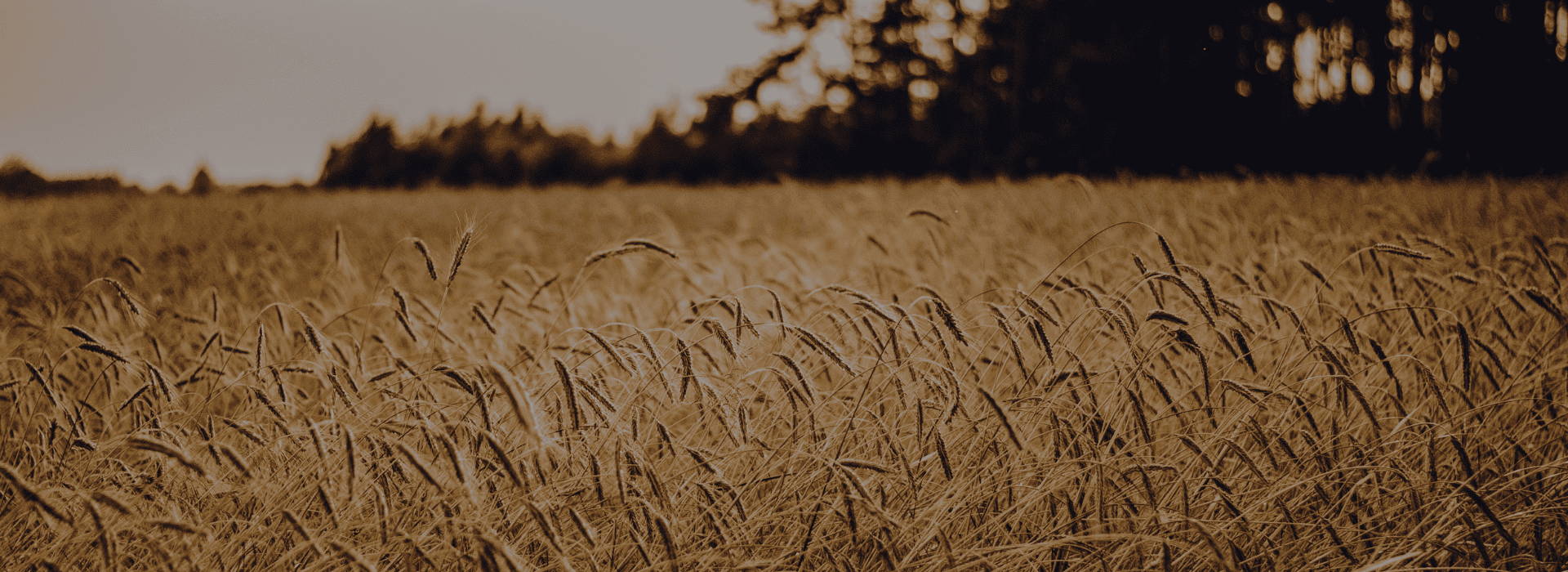 Teuro Granen Digitizes AP Freight Invoice Processing with intelligent Reducr AI